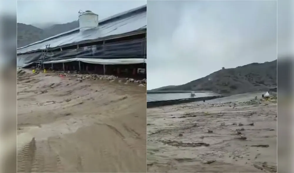 Granja quedó inundada. Foto: composición de Luis Fernando Apaza/captura de Señal Abierta