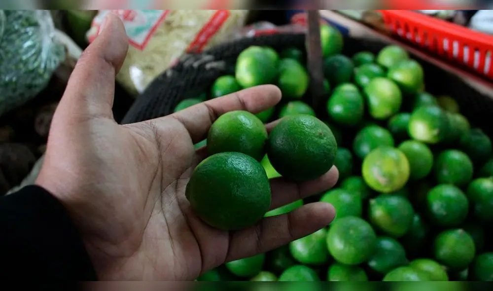 Precio del limón triplicó su precio en varios mercados de Tacna. Foto: La República Precio del limón triplicó su precio en varios mercados de Tacna. Foto: La República