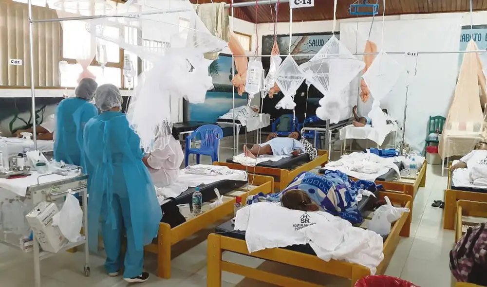 Casos. En Madre de Dios, Ucayali, Loreto y el norte del país ya se advierte un incremento de casos de dengue. La lluvia podría agravar esta situación. Foto: difusión Casos. En Madre de Dios, Ucayali, Loreto y el norte del país ya se advierte un incremento de casos de dengue. La lluvia podría agravar esta situación. Foto: difusión