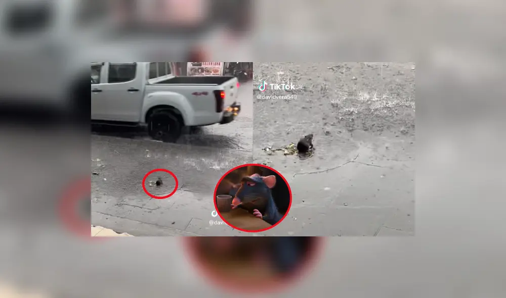 El video cuenta con más de 6 millones de vistas. Foto: composición La República/TikTok/@davidvera549 El video cuenta con más de 6 millones de vistas. Foto: composición La República/TikTok/@davidvera549