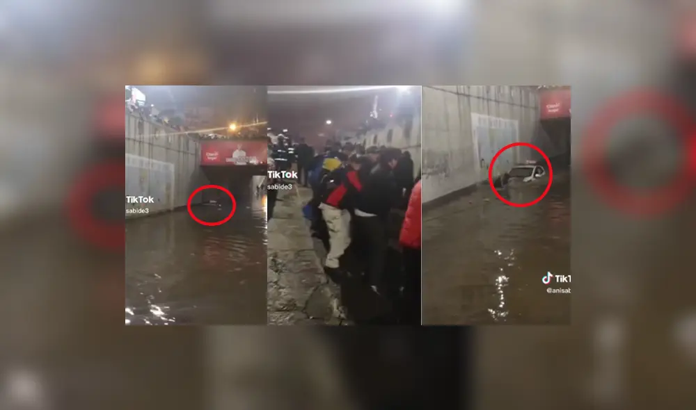 El video suma más de dos millones y medio de vistas. Foto: composición La República/TikTok/@anisabide3 El video suma más de dos millones y medio de vistas. Foto: composición La República/TikTok/@anisabide3