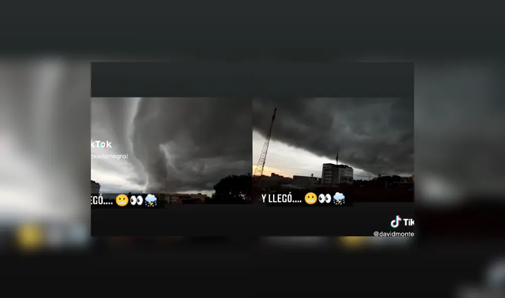 El video ha superado los 3.5 millones de vistas. Foto: composición La República/TikTok/@davidmontenegroi