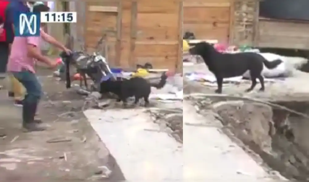 La vivienda donde tuvo lugar el rescate se ubica, junto a muchas otras, en las laderas del río Chillón. Foto: captura de video/Canal N