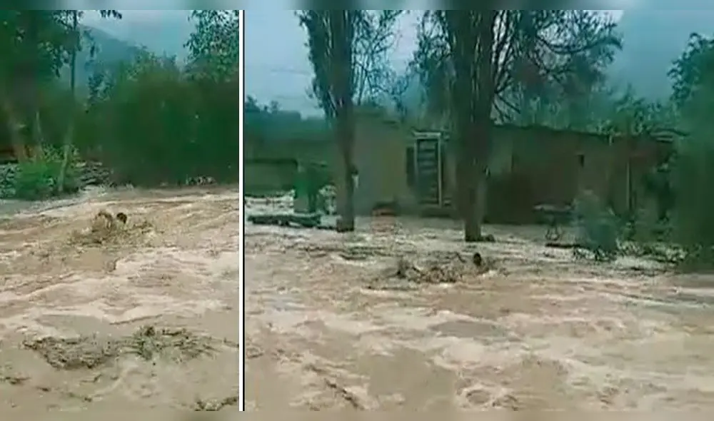 Hombre se salvó de milagro en La Libertad. Foto: captura video TikTok