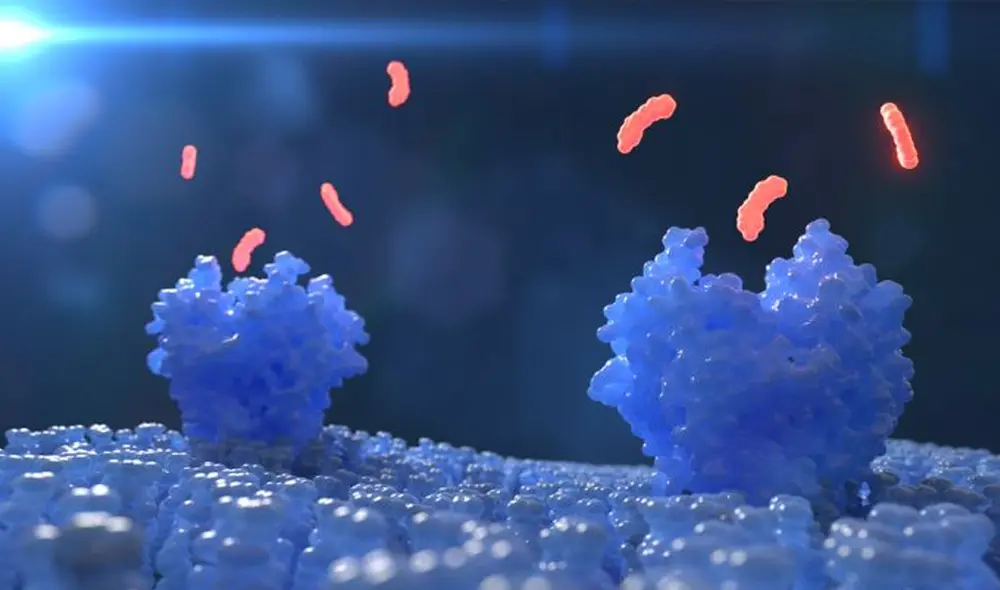 El fármaco se une a las proteínas celulares que facilitan la progresión de la leucemia. Imagen: referencial  / EPR