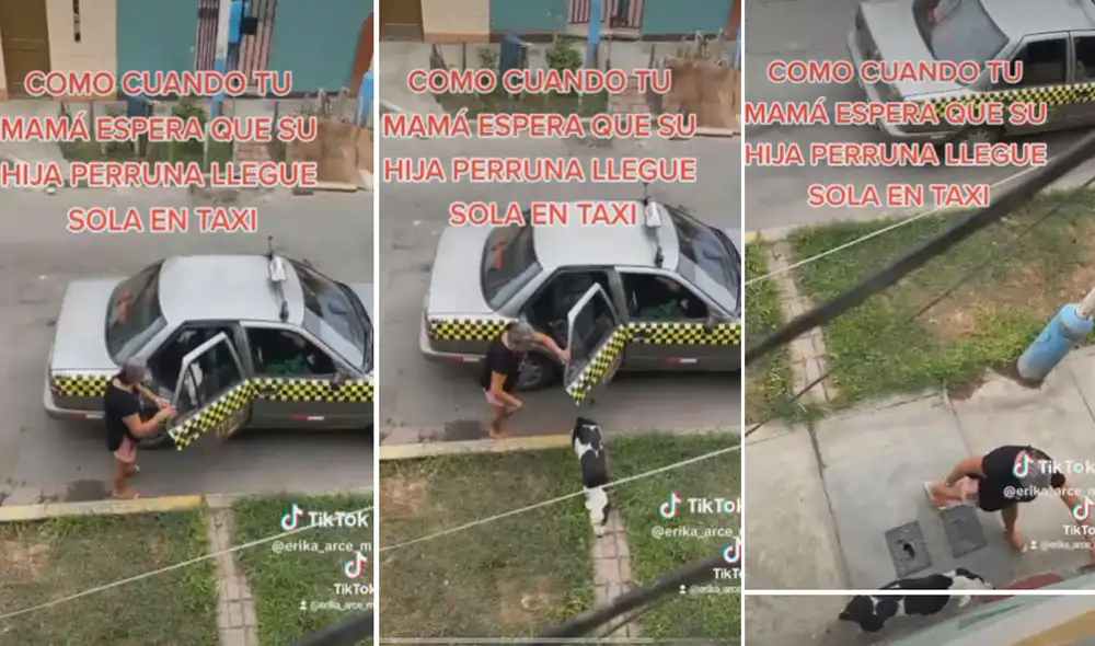 Miles de usuarios no han parado de reír con estas imágenes. Foto: composición LR/TikTok Miles de usuarios no han parado de reír con estas imágenes. Foto: composición LR/TikTok