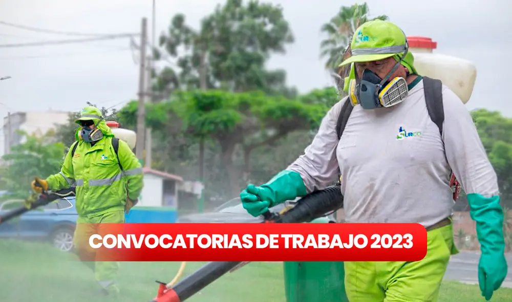 Puedes postular así tengas o no secundaria completa. Foto: composición LR/Municipalidad de Surco