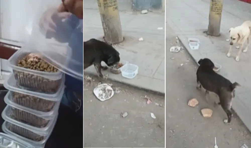 Miles quedaron conmovidos al ver esta escena. Foto: composición LR/TikTok