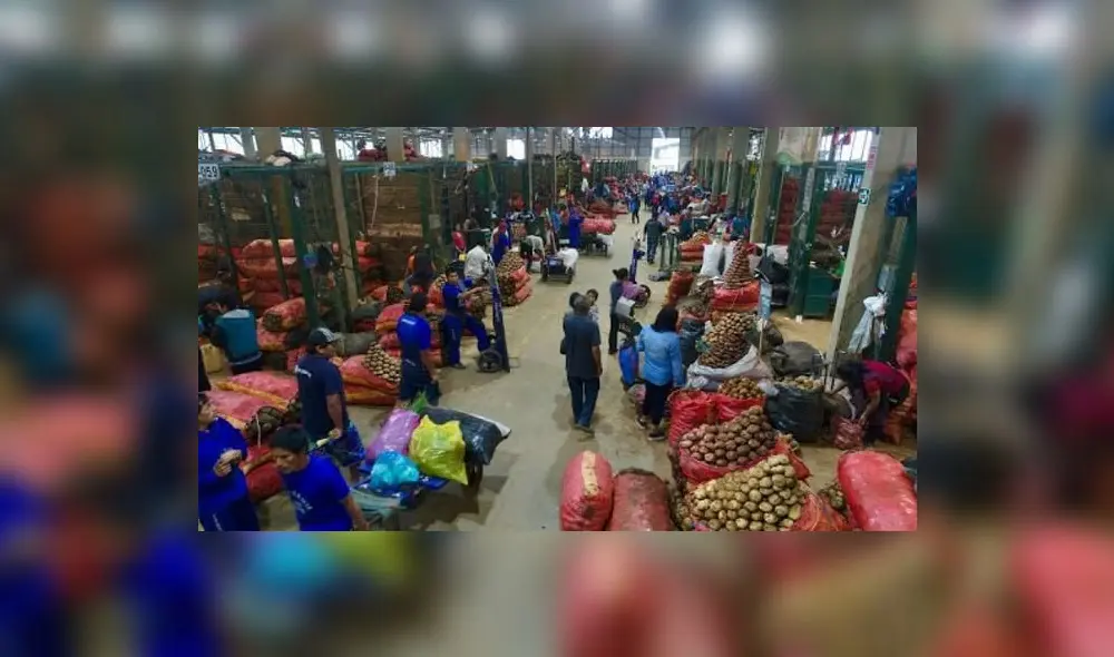 Abastecimiento del GMML fue menor en 10,1% al promedio habitual de los jueves. Foto: Andina