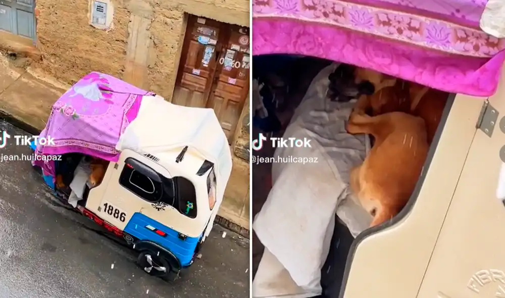 El video del singular suceso sumó más de 200.000 visualizaciones en TikTok. Foto: composición LR/TikTok/@Jean.huilcapaz El video del singular suceso sumó más de 200.000 visualizaciones en TikTok. Foto: composición LR/TikTok/@Jean.huilcapaz