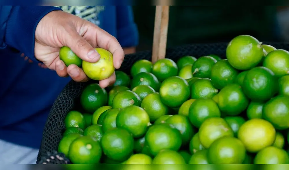 La reducción de los precios al por mayor deberían trasladarse de forma inmediata en los mercados minoristas debido a que existe disponibilidad de productos, comenta Garay. Foto: Hernán Hernández / GLR. La reducción de los precios al por mayor deberían trasladarse de forma inmediata en los mercados minoristas debido a que existe disponibilidad de productos, comenta Garay. Foto: Hernán Hernández / GLR.