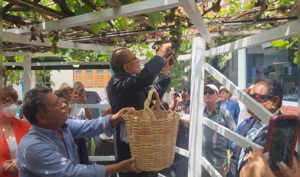 El festival de la Vendimia se realizó en Lima con la tradicional pisada de uvas y danzas típicas. Foto: Paolo Zegarra/ La República El festival de la Vendimia se realizó en Lima con la tradicional pisada de uvas y danzas típicas. Foto: Paolo Zegarra/ La República