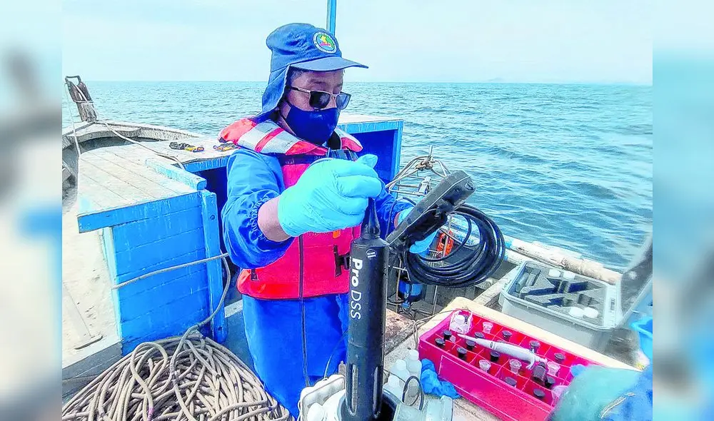 Medición. Expertos del Imarpe vigilan constantemente la temperatura del mar. Foto: difusión Medición. Expertos del Imarpe vigilan constantemente la temperatura del mar. Foto: difusión
