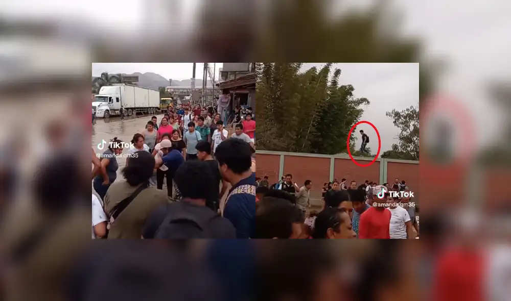 El video cuenta con más de 2,4 millones de vistas. Foto: composición La República/Tiktok/@amanda.qm35