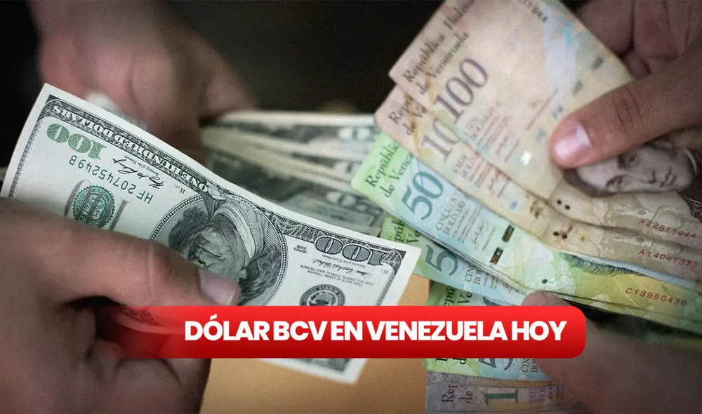 Precio del dólar BCV hoy, domingo 19 de marzo de 2023, en Venezuela. Foto: composición LR Precio del dólar BCV hoy, domingo 19 de marzo de 2023, en Venezuela. Foto: composición LR