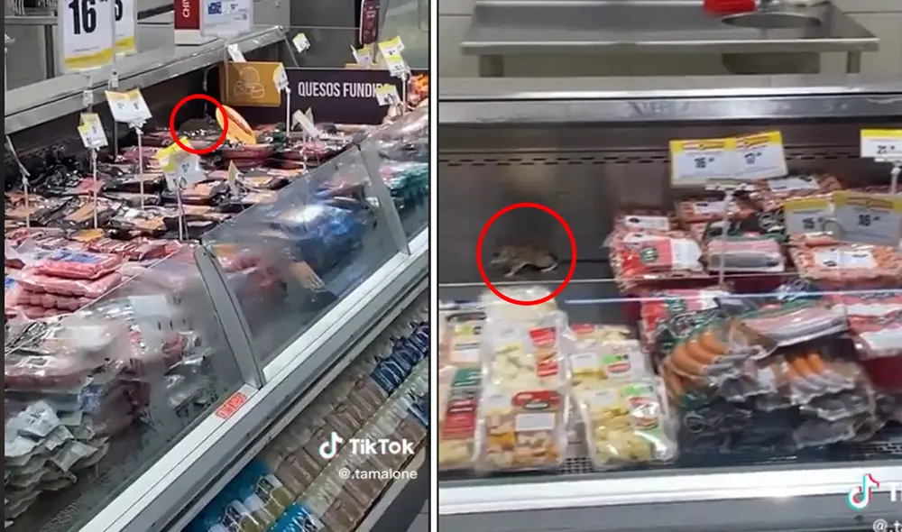 Roedor es captado en un centro comercial. Foto: composición LR Roedor es captado en un centro comercial. Foto: composición LR