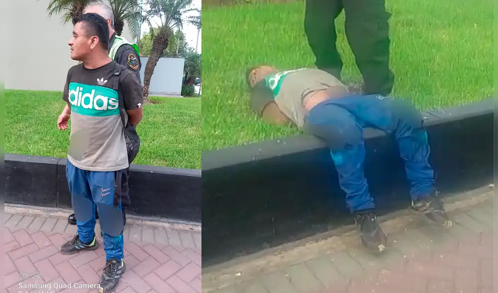 La Linea 100 está disponible para atender a mujeres que han estado involucradas  en hechos de violencia familiar o sexual. Foto: difusión.