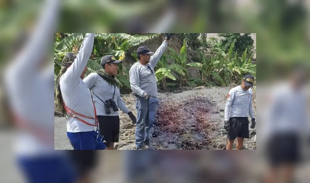 Cuerpo fue encontrado enterrado entre la maleza. Foto: Noticias en Red Chimbote