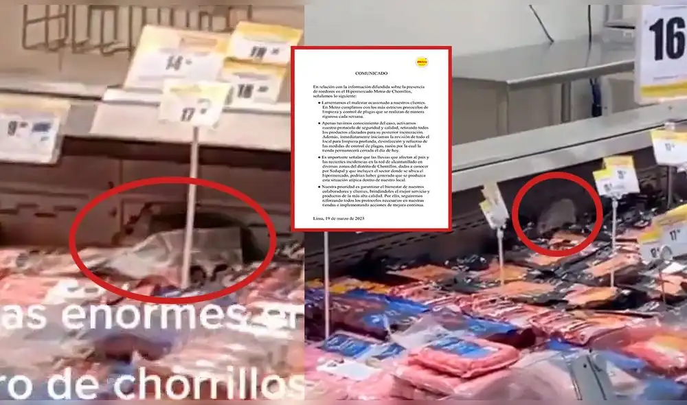 Personas reportaron dos roedores en la zona de embutidos de Metro de Chorrillos. Foto: composición LR / Tik tok / Difusión