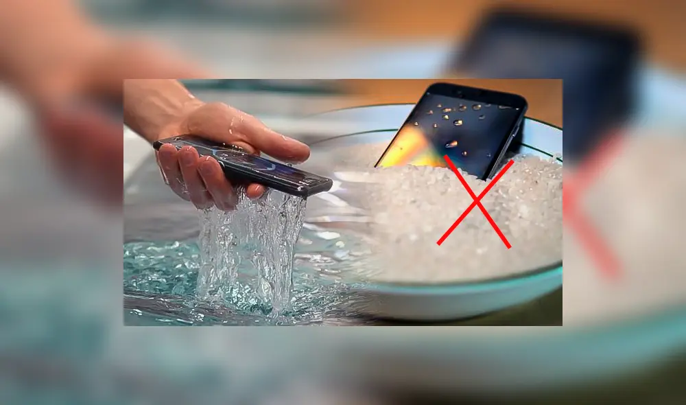 El truco que es más efectivo que usar arroz cuando tu celular cae al agua. Foto: composición LR