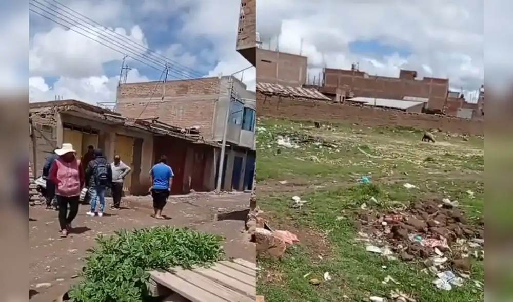 Hallazgo se registró en la urbanización Tambopata de Juliaca. Foto: composición de Luis Fernando/captura de Facebook Onda Azul
