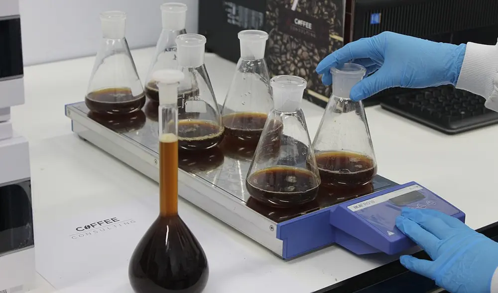 Los investigadores analizaron infusiones, café en polvo, leches con chocolate, refrescos, bebidas deportivas y bebidas energéticas. Foto: referencial/Pixabay