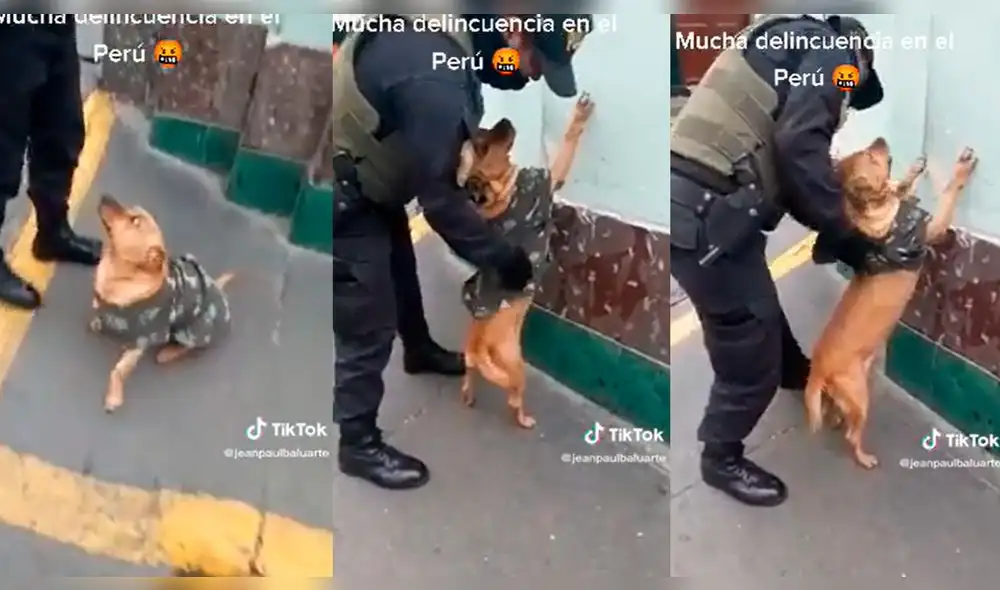 El video superó las 504.900 reproducciones. Foto: composición LOL/captura de TikTok/@JeanPaulBaluarte El video superó las 504.900 reproducciones. Foto: composición LOL/captura de TikTok/@JeanPaulBaluarte