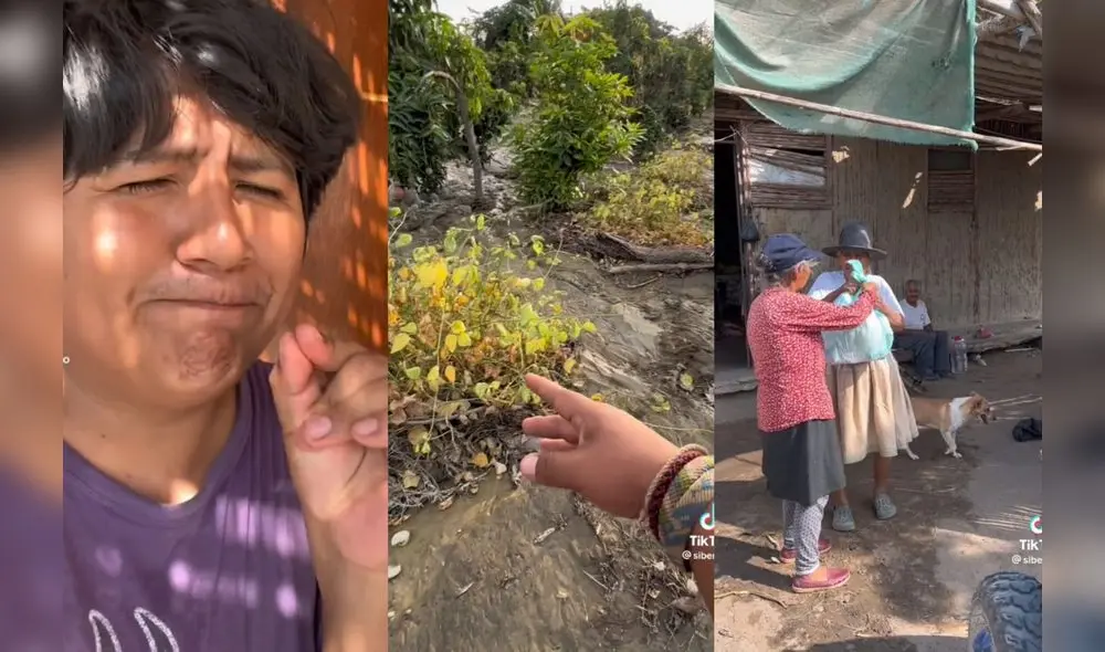 Cultivos de los padres de Sibenito también quedaron dañados por el huaico. Foto: composición de Luis Fernando/captura de Tik tok Sibenitoo