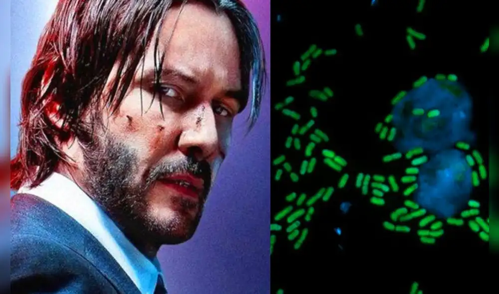 Keanu Reeves reaccionó tras enterarse que una bacteria tenía su nombre. Foto: Composición LR