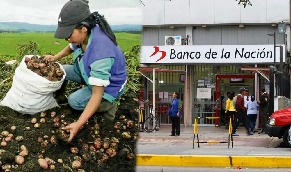 Este subsidio ayudará a los pequeños agricultores a cubrir sus gastos en fertilizantes. Foto: composición LR/Agraria