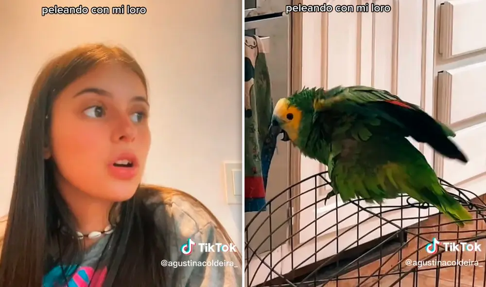 El video del singular episodio acumuló miles de visualizaciones en TikTok. Foto: composición LR/captura de TikTok/@Agustinacoldeira_