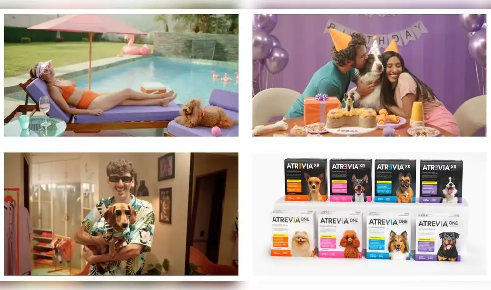 FOSBURY Y ATREVIA CONVIERTEN PERRITOS EN ESTRELLAS DE CINE PARA PROMOVER LA ADOPCIÓN