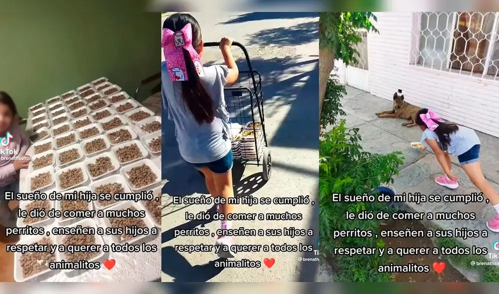 Niña alimenta a perritos callejeros con la ayuda de su mamá. Foto: composición LR/captura de TikToK/@brenathsaltorre/