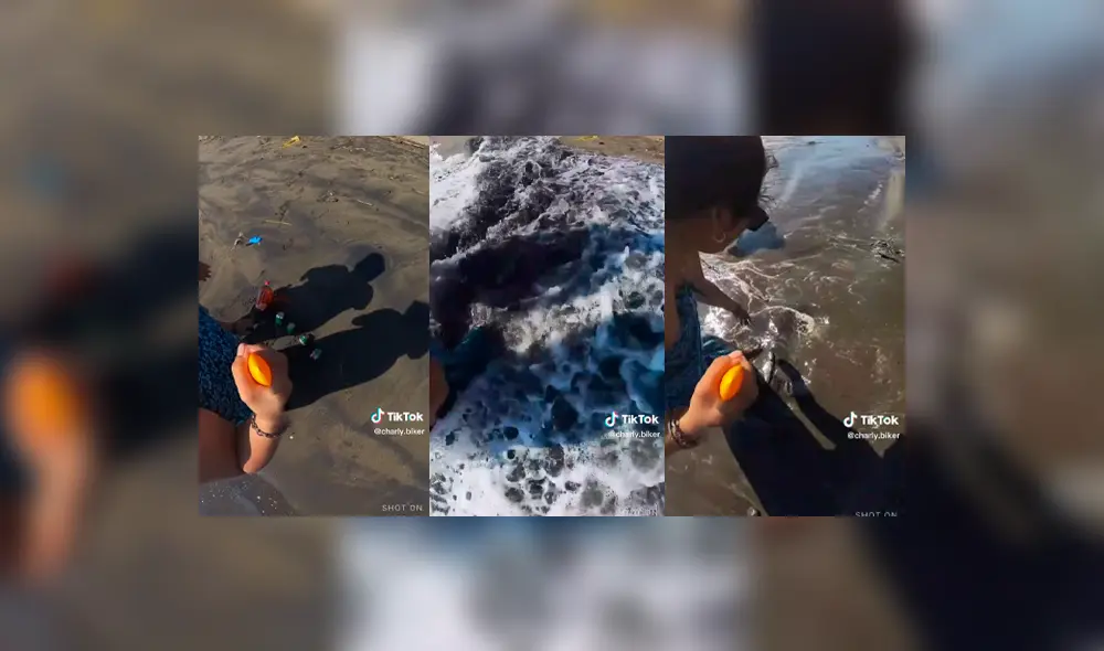 El video cuenta con 1,6 millones de vistas. Foto: composición LR/TikTok/@charly.biker