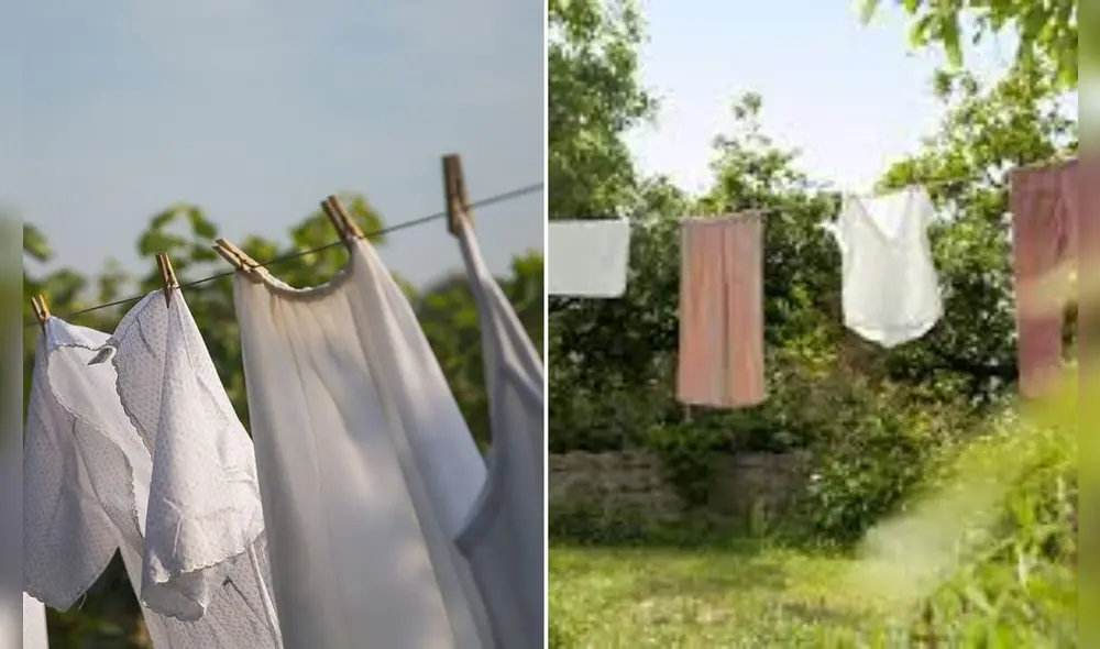 Descubre por qué es conveniente tender la ropa al revés y por separado. Foto: composición GLR/Arquitectura y Diseño/Frosch