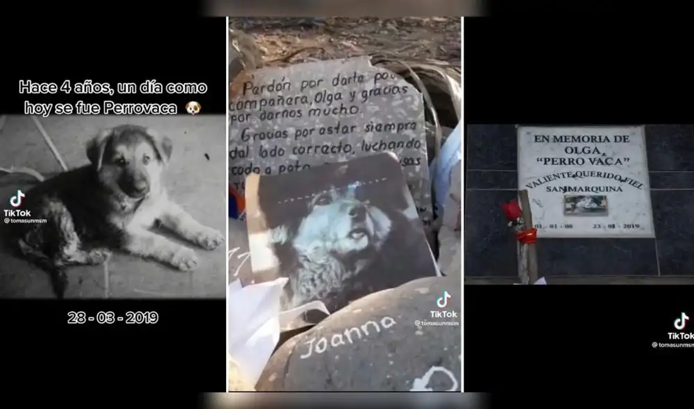 'Perrovaca' es recordada tras 4 años de su muerte. Foto: composición LR/captura de TikTok/Tomas San Marcos 'Perrovaca' es recordada tras 4 años de su muerte. Foto: composición LR/captura de TikTok/Tomas San Marcos