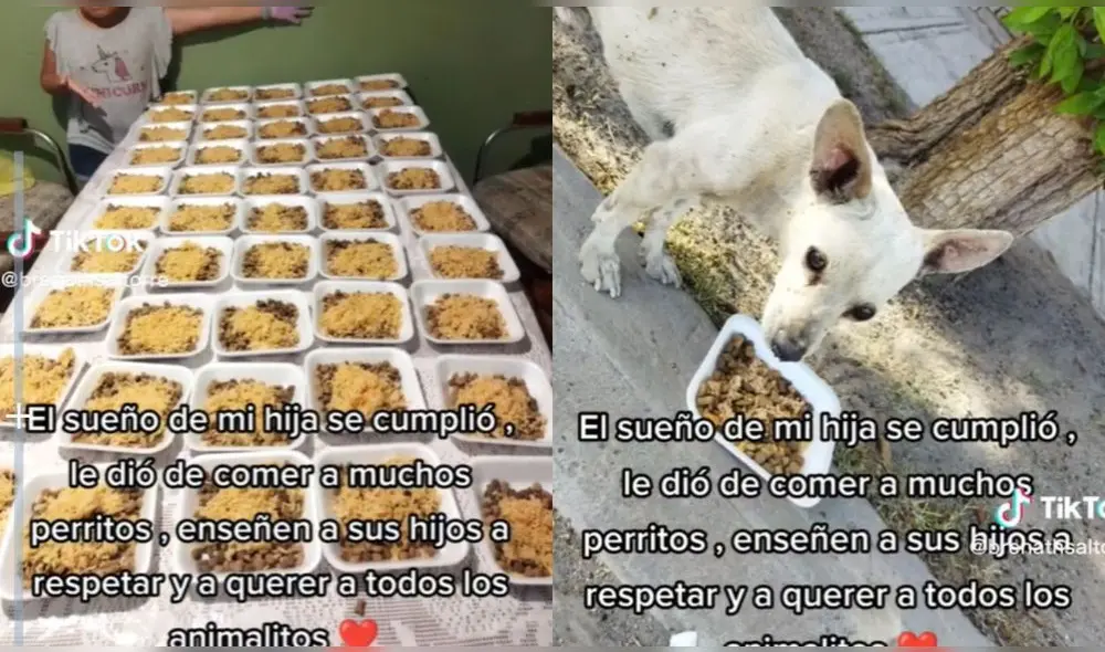 La menor se ganó los elogios de los internautas en redes sociales. Foto: captura TikTok/brenathsaltorre La menor se ganó los elogios de los internautas en redes sociales. Foto: captura TikTok/brenathsaltorre