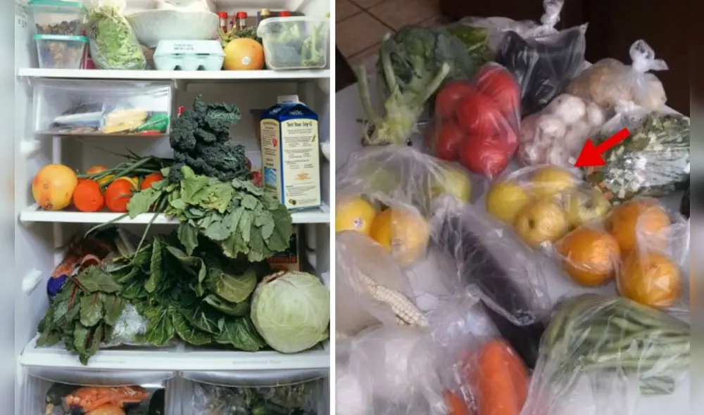 ¿Por qué no debemos guardar verduras en bolsas de plástico en el refrigerador? Foto: composición LR