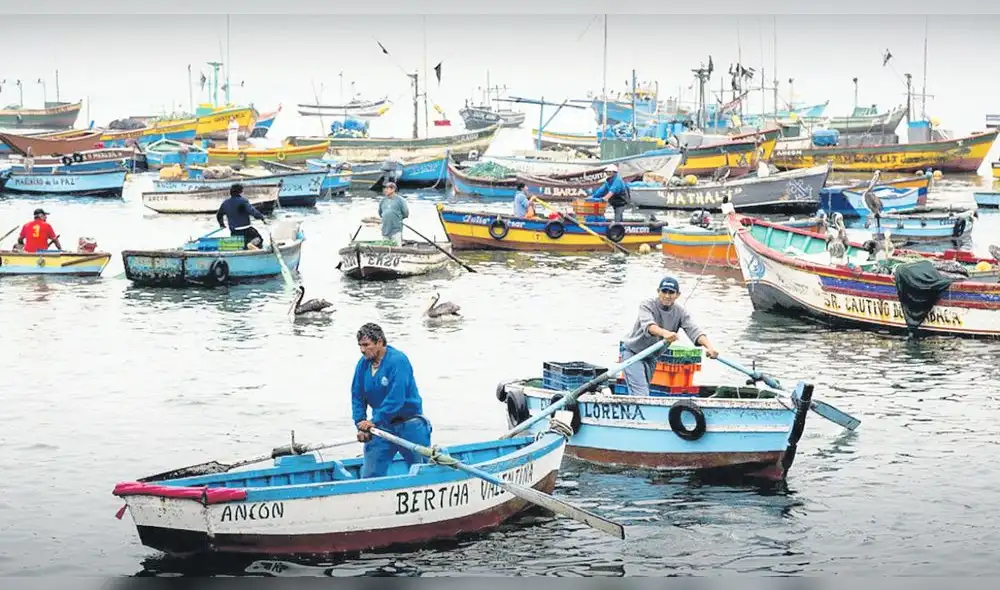 Cambio. Buscan incorporar en la norma vigente la categoría de recurso sobreexplotado. Foto: difusión