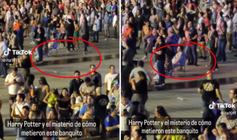 Miles quedaron impactados al ver esta escena. Foto: composición LR/TikTok