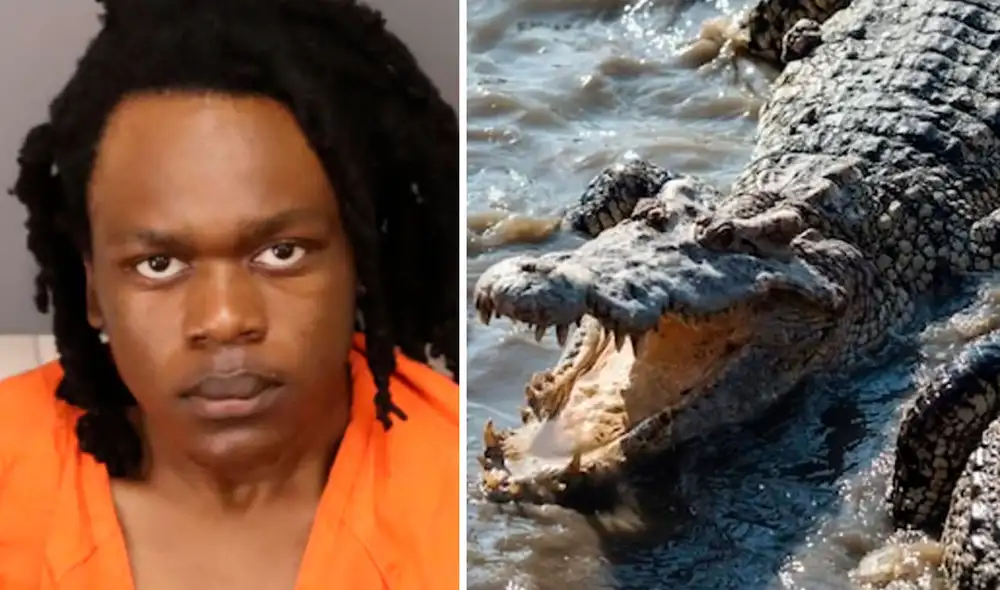 La búsqueda se detuvo cuando uno de los agentes vio a un enorme cocodrilo con “un objeto en la boca” dentro del lago Maggiore. Foto: Tampa Bay Times La búsqueda se detuvo cuando uno de los agentes vio a un enorme cocodrilo con “un objeto en la boca” dentro del lago Maggiore. Foto: Tampa Bay Times