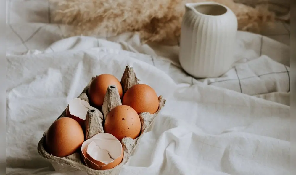 Cáscaras de huevo: por qué debemos darle otros usos y no desecharlas | Foto: Unsplash