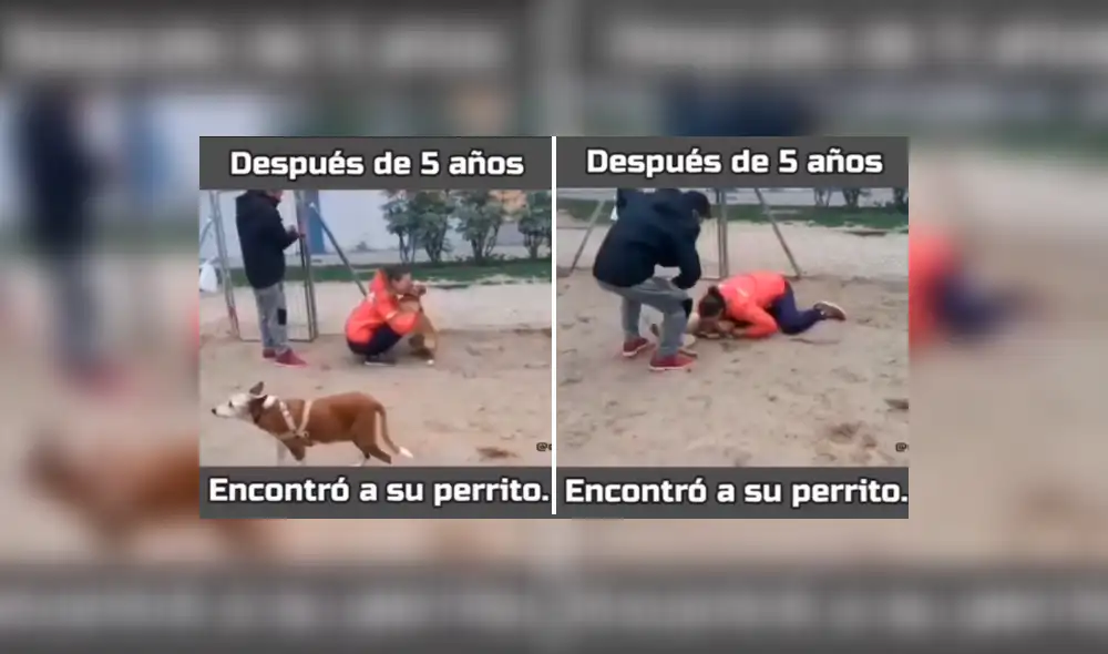 El video ha superado los 5 millones de visualizaciones en Facebook. Foto: composición LR/Facebook El video ha superado los 5 millones de visualizaciones en Facebook. Foto: composición LR/Facebook