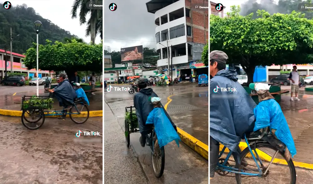 Miles de usuarios aplaudieron al hombre por haber protegido a su ‘amigo fiel’. Foto: Composición de LR/TikTok/@Moraduqh8yw