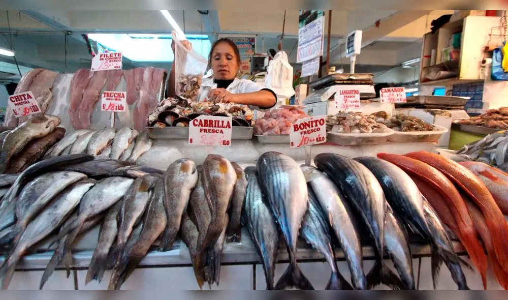 Conoce los 5 mejores pescados más nutritivos. Foto: La República