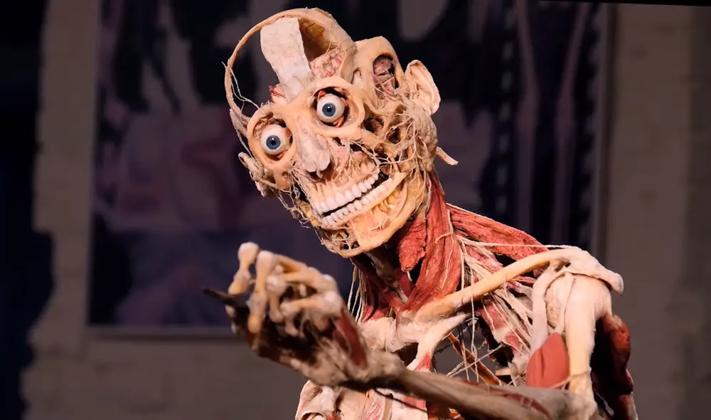 Body Worlds es una exposición científica que exhibe cadáveres disecados de cientos de voluntarios alrededor del mundo. Foto: captura de Youtube/OriginalBodyWorlds