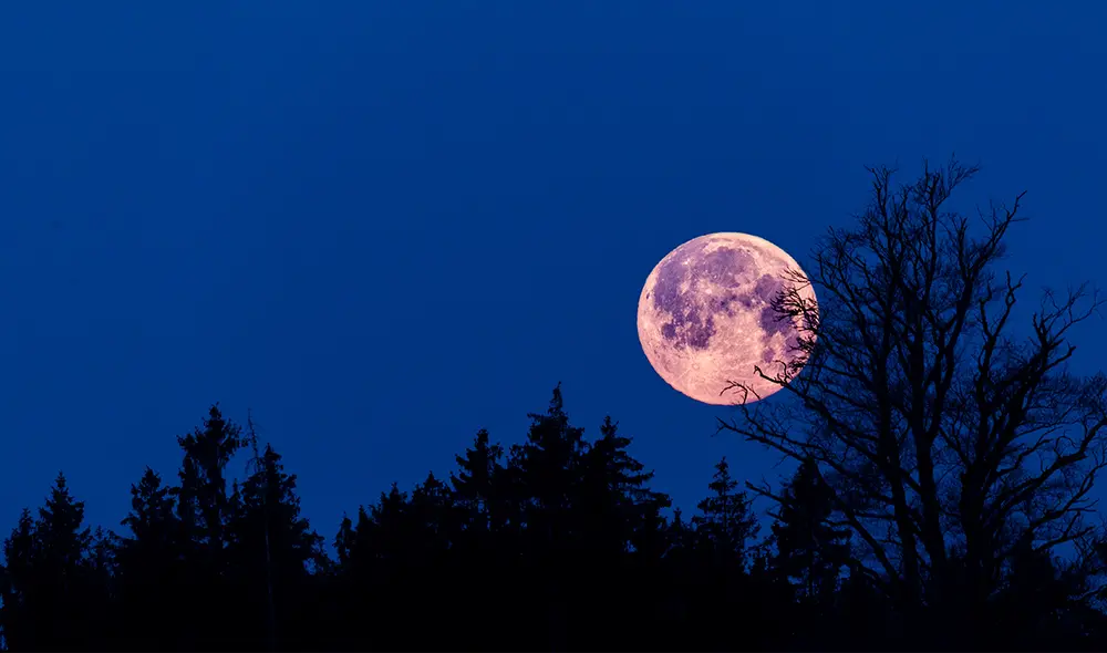 La luna llena de abril es conocida como luna rosa. Foto: referencial / Adobe Stock