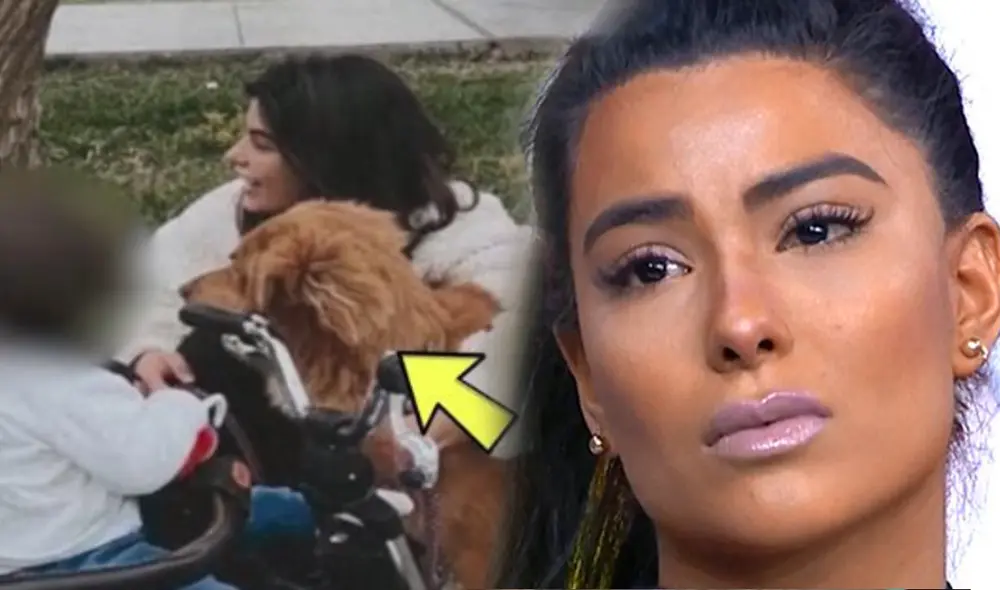 Ivana Yturbe aclaró en vivo que no era responsable del actual estado de salud del perro. Foto: composición/captura Amor y fuego/captura ATV Ivana Yturbe aclaró en vivo que no era responsable del actual estado de salud del perro. Foto: composición/captura Amor y fuego/captura ATV