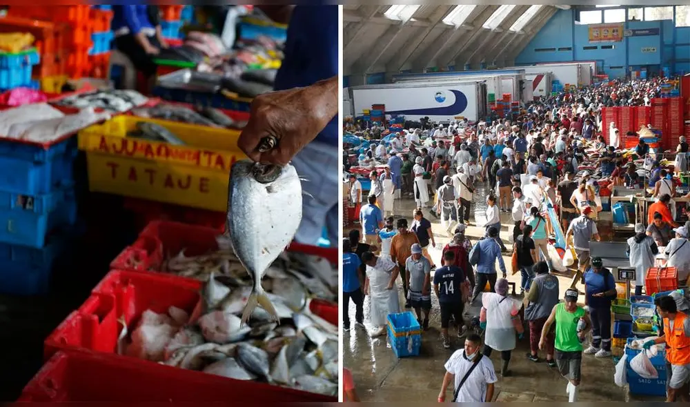 Se reportó aglomeración en terminal pesquero de VMT. Foto: Composición LR / Félix Contreras
