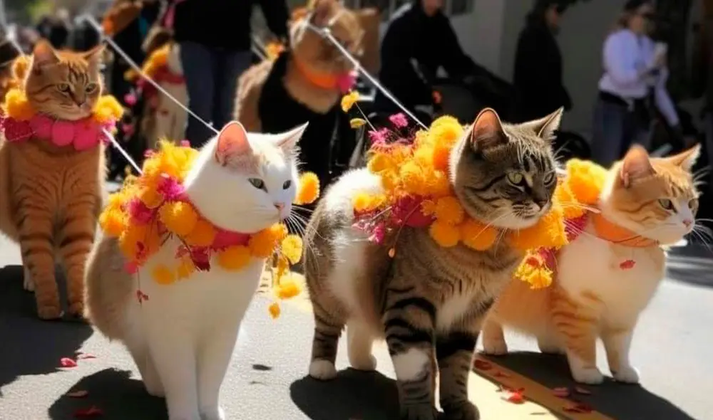 Desfile de gatitos es cuestionado por usuarios en Twitter. Foto: Twitter